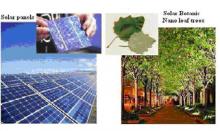 Fig. (1) View of solar panels and nano leaves trees